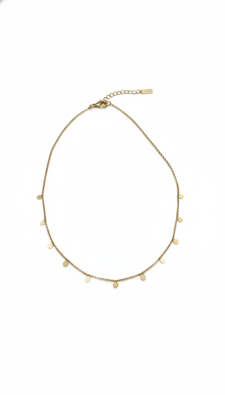 The Disc Charm Choker Necklace