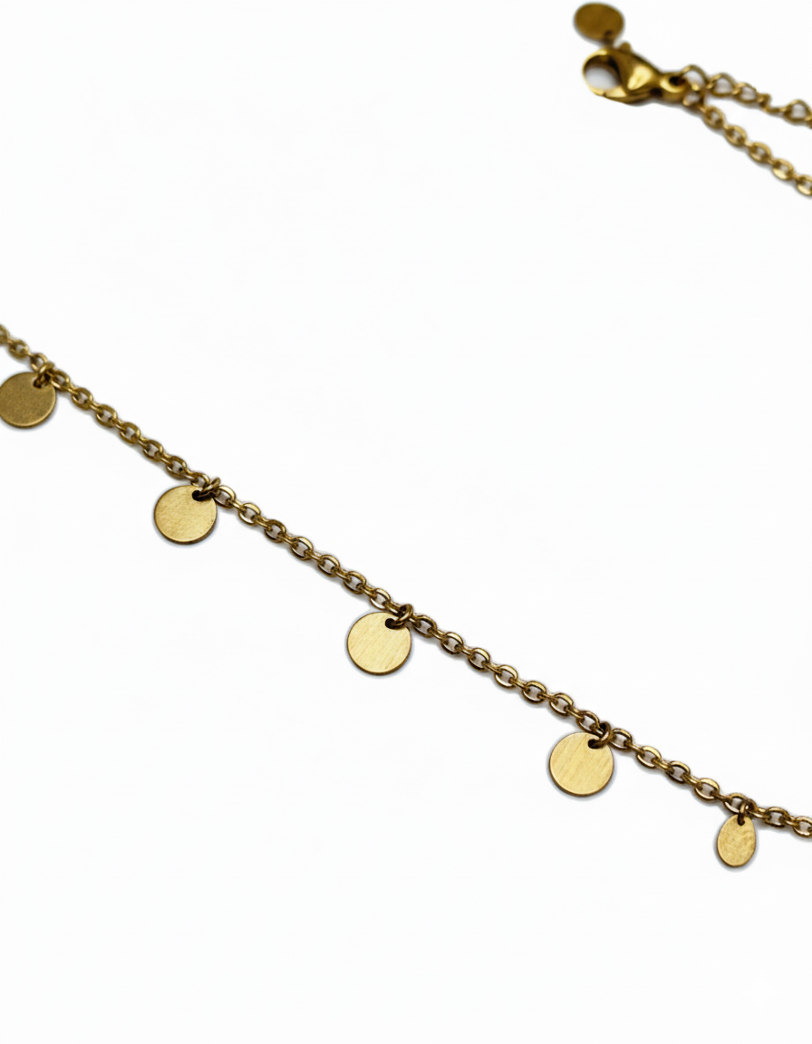 The Disc Charm Choker Necklace