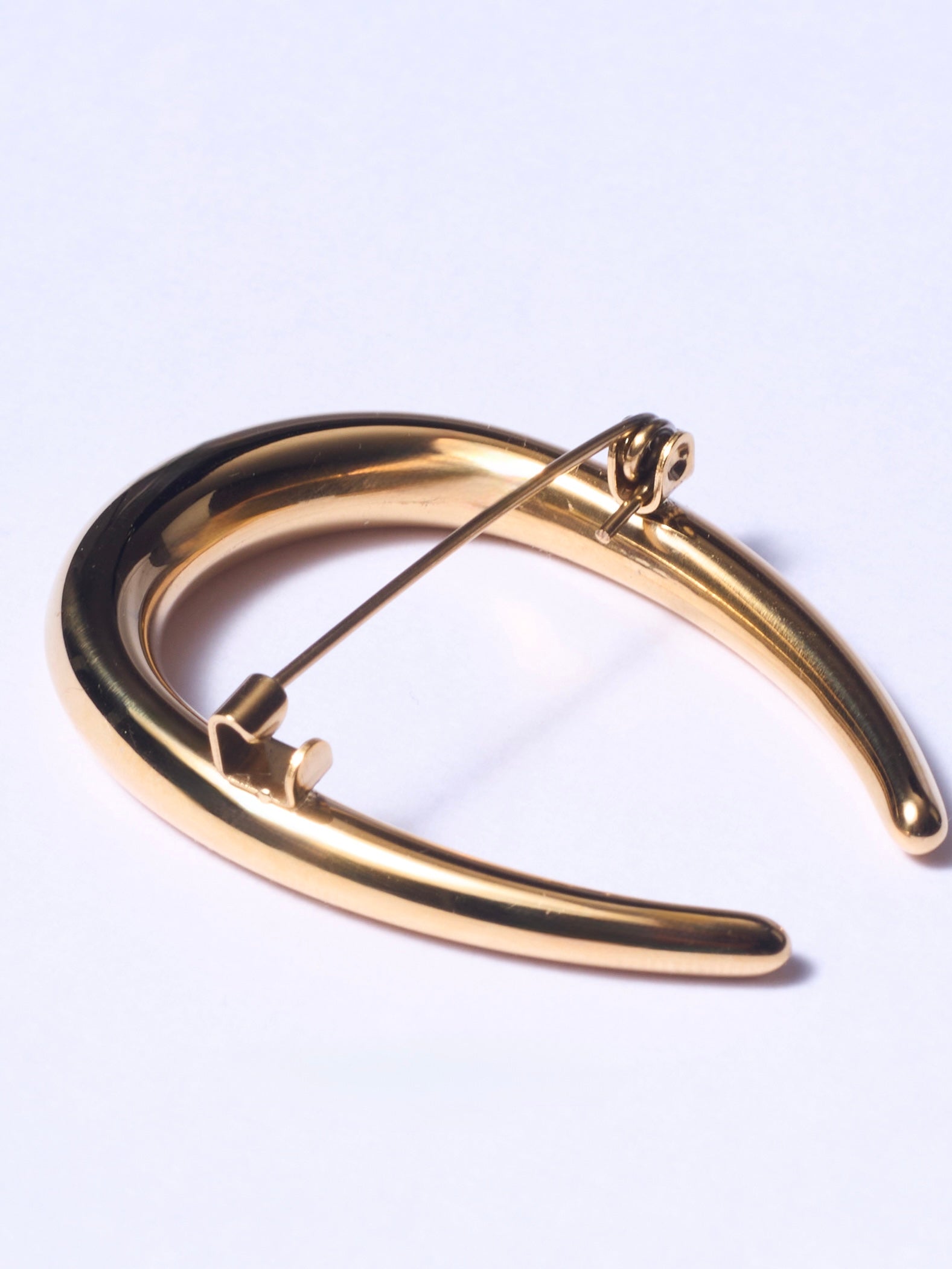 Gold Horseshoe Brooch Pin